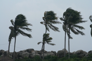 Are You Ready for Unexpected Disasters?