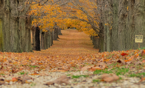 Planning Through the 4 Seasons of Business