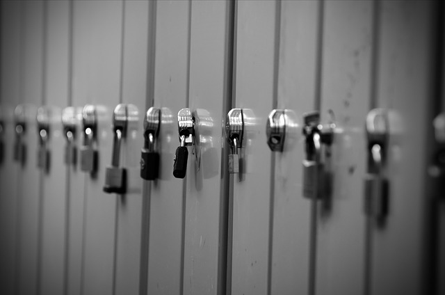 Smartphone Security in Ten Steps